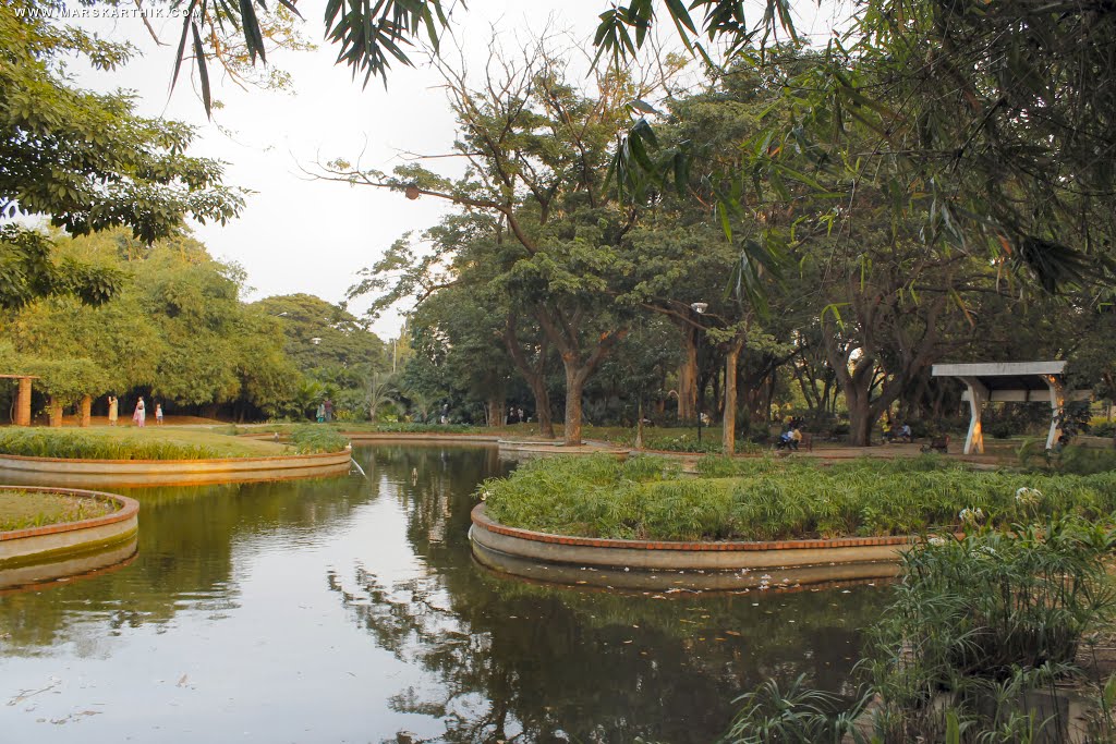 international-patients